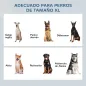 Comedero para Perros