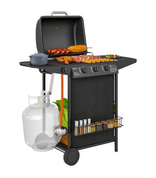 Barbacoa de Gas