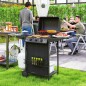 Barbacoa de Gas Barbacoa de Gas