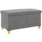 Banco Almacenaje Capacidad de 67 L 76x38x38 cm Tapizado en Terciopelo Carga 120 kg para Sala de Estar Dormitorio Gris