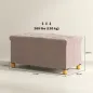 Banco Almacenaje Capacidad de 67 L 76x38x38 cm Tapizado en Terciopelo Carga 120 kg para Sala de Estar Dormitorio Rosa