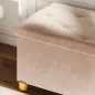 Banco Almacenaje Capacidad de 67 L 76x38x38 cm Tapizado en Terciopelo Carga 120 kg para Sala de Estar Dormitorio Rosa
