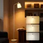 Lámpara de Pie LED Regulable con 3 Temperaturas de Color 3000K-6500K Pantalla Giratoria Bombilla E27 Blanco