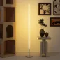 Lámpara de Pie Moderna Salón con Brillo Temperaturas de Color Ajustables Mando a Distancia Magnético Gris Plateado