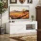 Mueble de TV Moderno para Salón con 2 Puertas Estante Abierto para Televisión 60 Pulgadas 140x40x48 cm Blanco