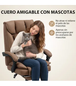 Silla de Escritorio