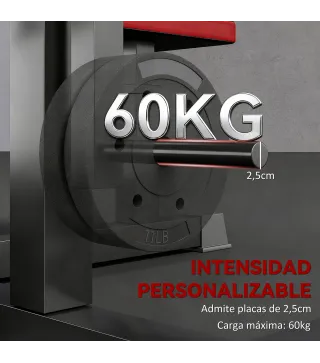 Banco Curl Predicador