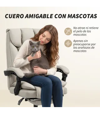Silla de Escritorio