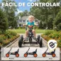Kart Pedales Go Kart con Ruedas PP Marco de Acero Carga 30 kg para Niños y Niñas de 2-5 Años Negro