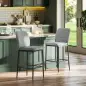 Set de 2 Taburetes Altos con Tapizado Aterciopelado y Patas de Acero para Cocina Comedor Barra 41x52x97 cm Gris
