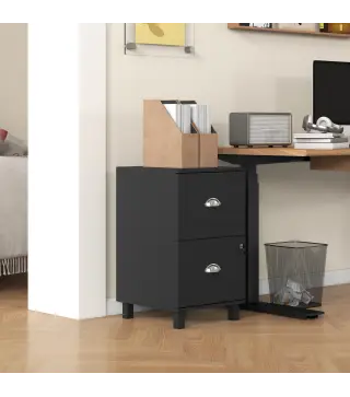 Archivador con Cerradura y 2 Cajones Barras Ajustables para Carpetas A4 y Carta Diseño Compacto 40x41,5x67,5 cm Negro