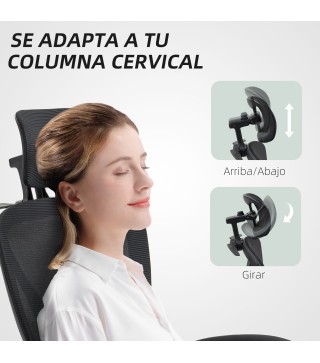 Silla de Escritorio
