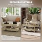 Mesa Centro Elevable Mesa Centro Elevable