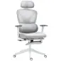 Silla de Escritorio de Malla Reclinable con Reposacabezas Giratoria Soporte Lumbar Reposapiés y Altura Regulable Gris