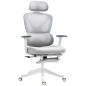 Silla de Oficina