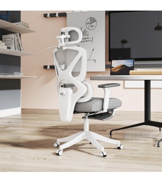 Silla de Oficina