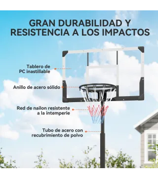 Canasta de Baloncesto