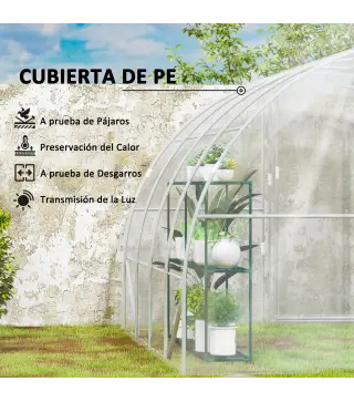 Invernadero de Túnel