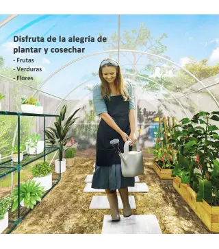 Invernadero de Túnel