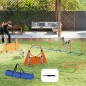 Juego de Agilidad Juego de Agilidad