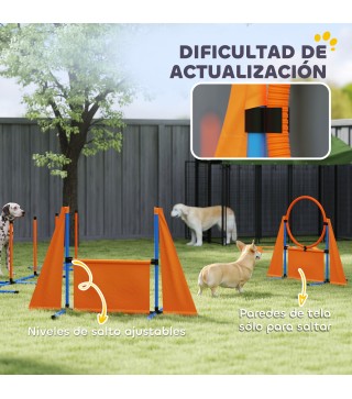 Juego de Agilidad