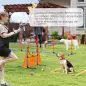Kit de Agilidad para Perros Agility de 6 Piezas para Mascotas con Saltos Slalom Caja de Pausa Silbato y Pelotas