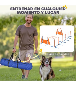 Juego de Agilidad