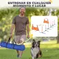 Kit de Agilidad para Perros Agility de 6 Piezas para Mascotas con Saltos Slalom Caja de Pausa Silbato y Pelotas