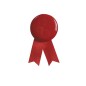 Pin Lazo Solidario