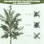 Planta Artificial Decorativa de 180cm Árbol de Olivo con 900 Hojas y 40 Aceitunas en Maceta para Interior Verde
