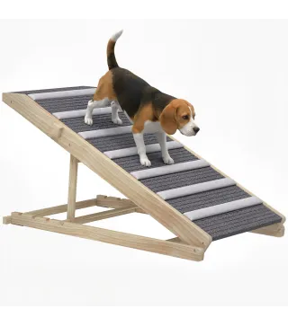 Rampa para Perros