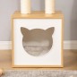 Conjunto para Gatos Conjunto para Gatos