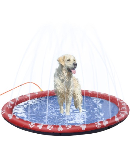 Splash Pad Mascotas