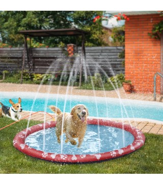 Splash Pad Mascotas