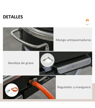 Barbacoa de Gas