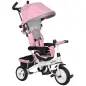 Triciclo Evolutivo para Niños +12 Meses con Toldo Plegable Mango de Empuje Telescópico y Cinturón de Seguridad Rosa