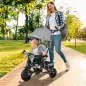 Triciclo Evolutivo para Niños +12 Meses con Toldo Plegable Mango de Empuje Telescópico y Cinturón de Seguridad Gris