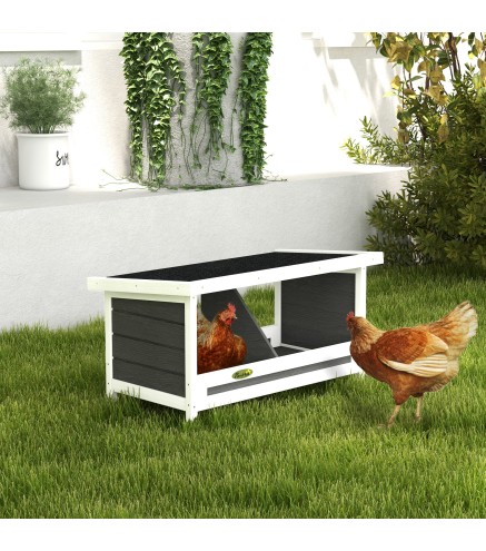 Ponederos para Gallinas