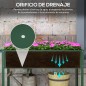Mesa de Cultivo Mesa de Cultivo