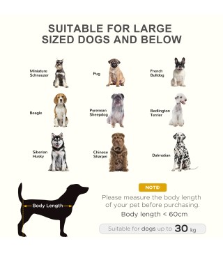 Cama Elevada Perros