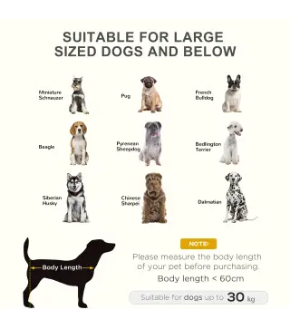 Cama Elevada Perros