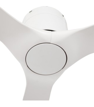 Ventilador de Techo