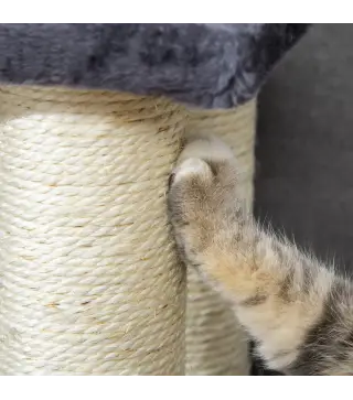 Escalera para Mascotas