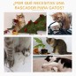 Árbol para gatos