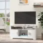 Mueble para Televisor Mesa para TV de Salón con Gran Espacio de Almacenaje con Estantes Abiertos 105x40x52 cm Blanco