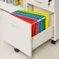 Archivador Móvil para Archivos A4 con Ruedas Gabinete de Archivos Suspendidos con 2 Cajones y Cerradura 40x45x55,6 cm Blanco