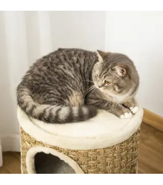 Barril Rascador para Gatos