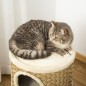 Barril Rascador para Gatos Barril Rascador para Gatos