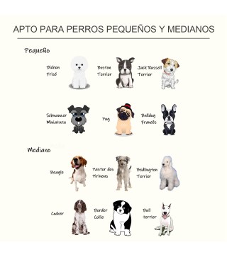 Comedero Elevado para Perros