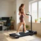 Cinta de Correr Cinta de Andar Plegable 2,5 HP con Pantalla LED Velocidad Ajustable Max. 10 km/h Control Remoto Negro